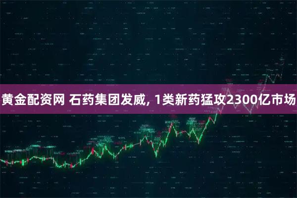 黄金配资网 石药集团发威, 1类新药猛攻2300亿市场